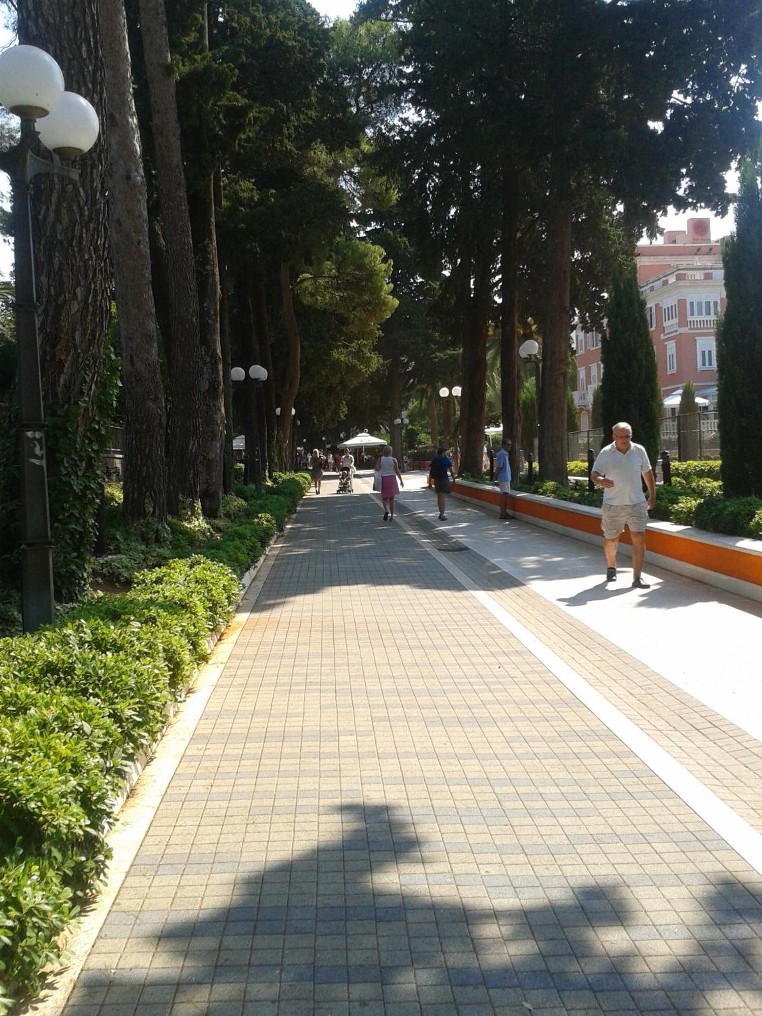 Dalmatino
